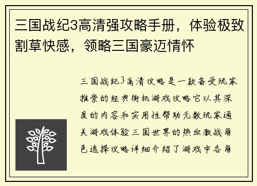 三国战纪3高清强攻略手册，体验极致割草快感，领略三国豪迈情怀